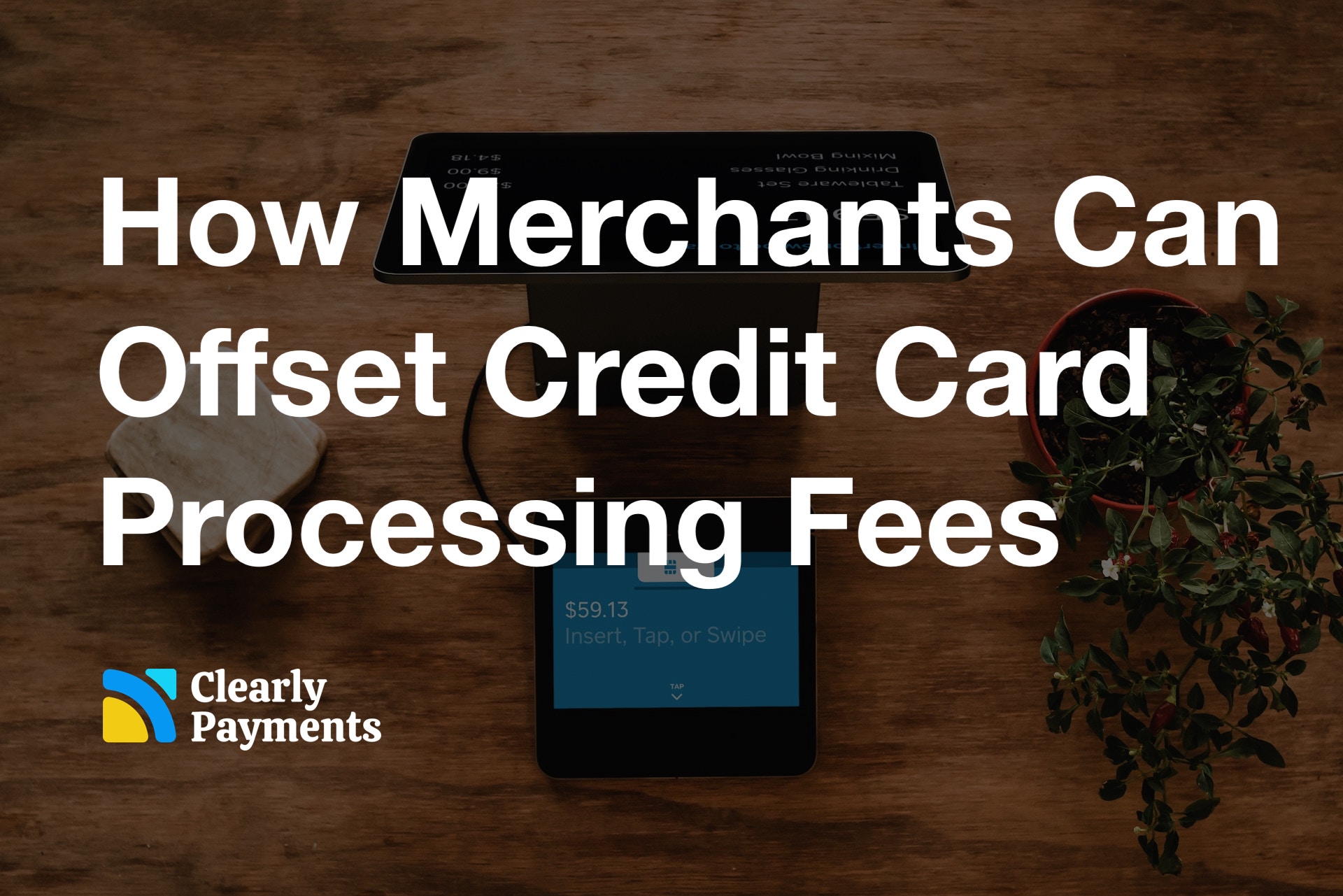 How Merchants Can Offset Credit Card Processing Fees Credit Card