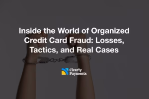 Inside the World of Organized Credit Card Fraud: Losses, Tactics, and Real Cases